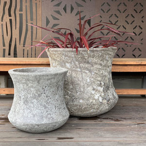 Ancient Lotus Pot