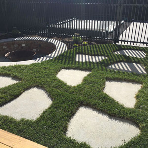 Bluestone Organic Stepper