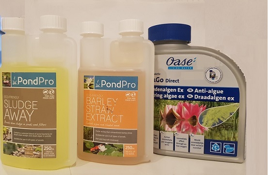 Dealing with algae in your ponds/water features