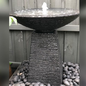 Medium Stand & Shallow Bowl Package
